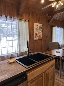 Aspen Rental Photo 2