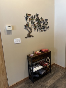 Aspen Rental Photo 4