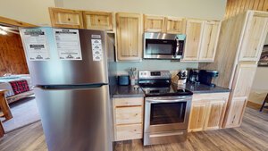 Aspen Rental Photo 20