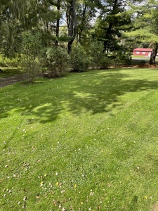 Willow Cabin Photo 19